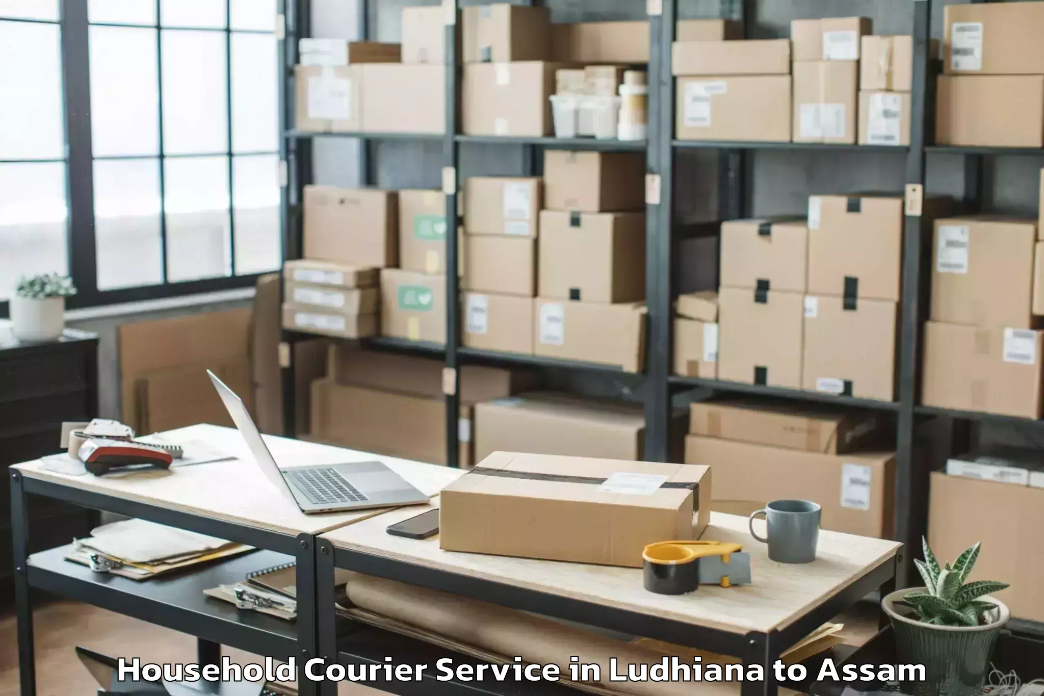 Easy Ludhiana to Balipara Household Courier Booking